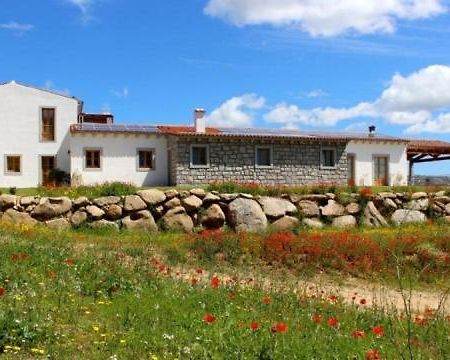 Tenute Testoni Agriturismo E B&B Bassacutena Eksteriør billede