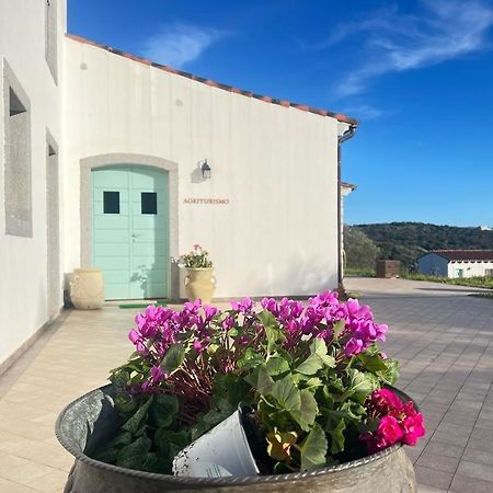 Tenute Testoni Agriturismo E B&B Bassacutena Eksteriør billede