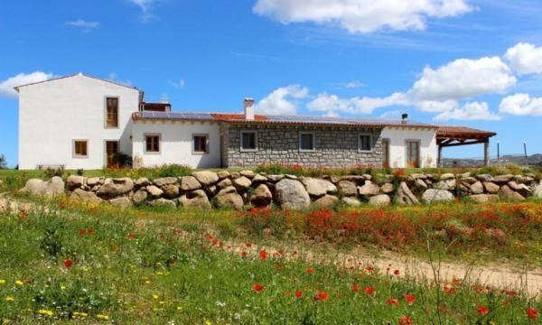 Tenute Testoni Agriturismo E B&B Bassacutena Eksteriør billede