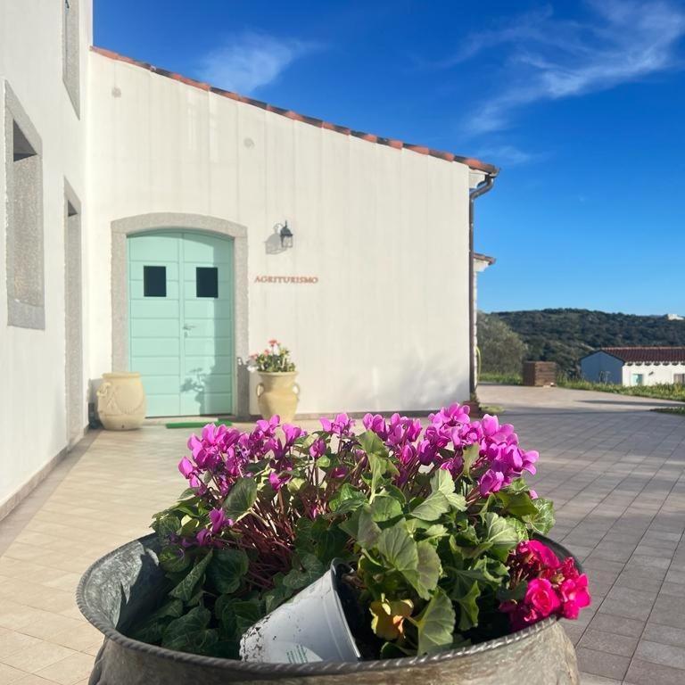 Tenute Testoni Agriturismo E B&B Bassacutena Eksteriør billede